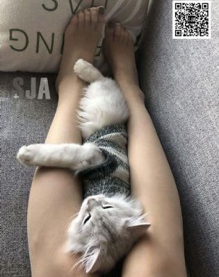 仅此一次的爱情_BD国语在线观看电视